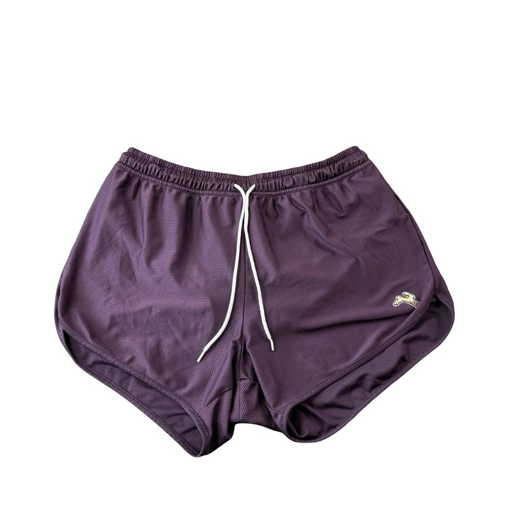 Tracksmith Purple Mens Athletic Running Shorts Size Medium M 2:09 Mesh